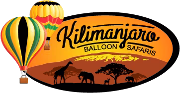 AIRBORNE AFRICAN ANTICS LTD logo