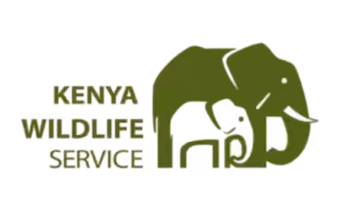KWS – AIRWING